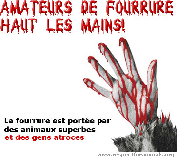tout est di